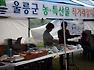 제 1회 성남시민과 함게하는 시흥동 화훼축제