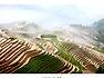 <계림(Guilin) 여행(4)> 용승 다랭이논, 안개속의 신비로운 세계, 용척제전(龍脊梯田)