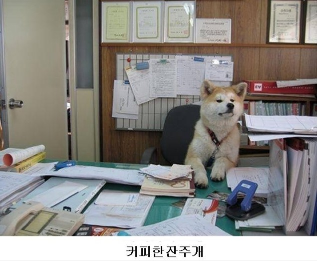 음 이미지
