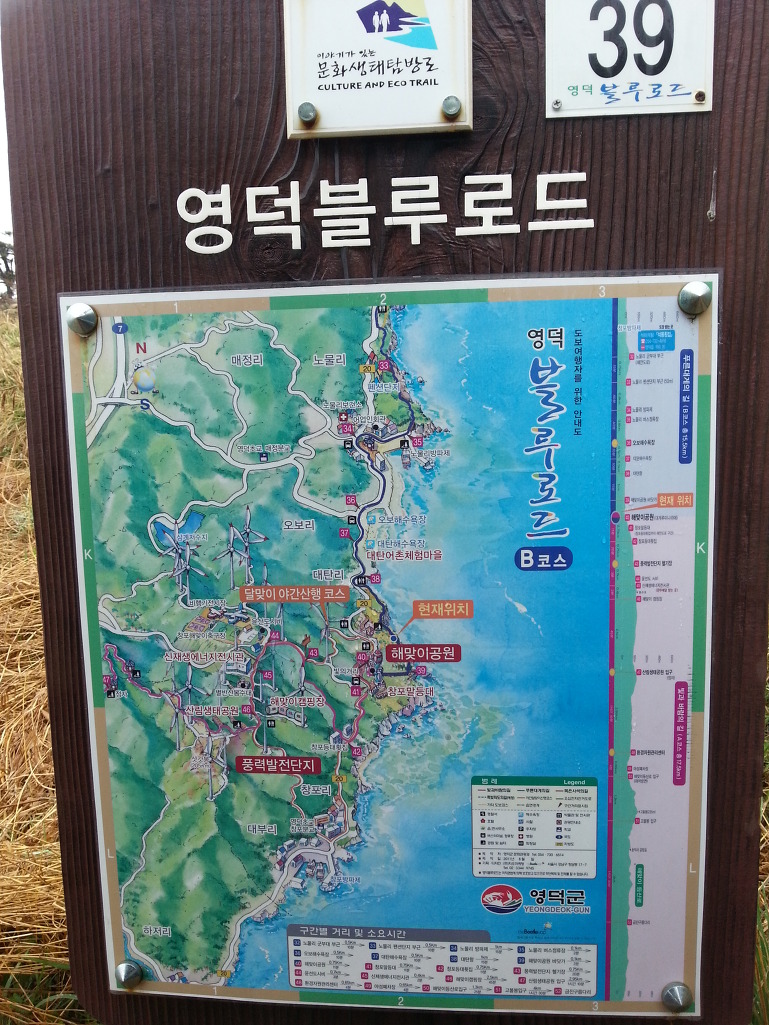 김추자의 "무인도"