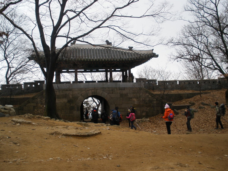 참나무 숲길 이미지
