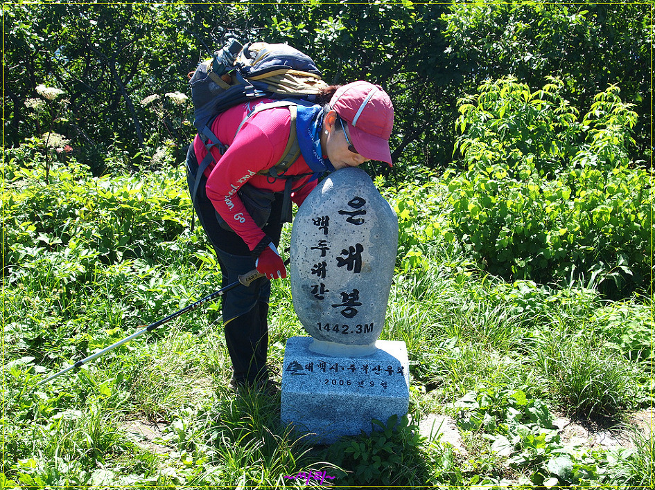 피제 이미지
