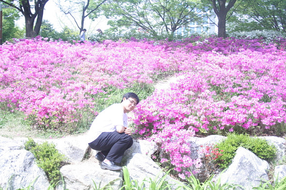 보라매공원에서....