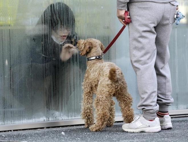 원본 크기로 보시려면 그림을 클릭하세요.