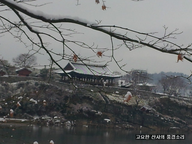 1박 2일 제주도 직원여행 중입니다.