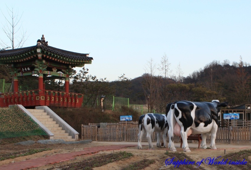 온뜨레피움 이미지