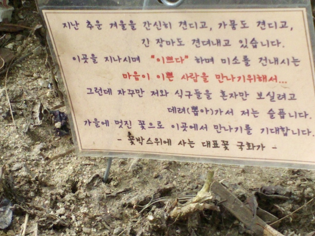 버스를 기다리다....