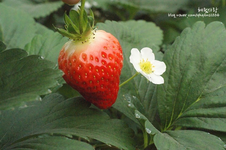 127110534DA873F51C40F2