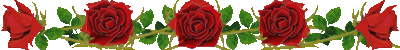 13094F4D4D57C21124C2DD
