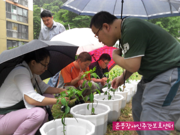 본문 첨부 이미지