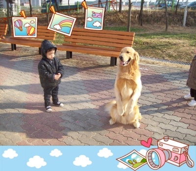 옥토 이미지