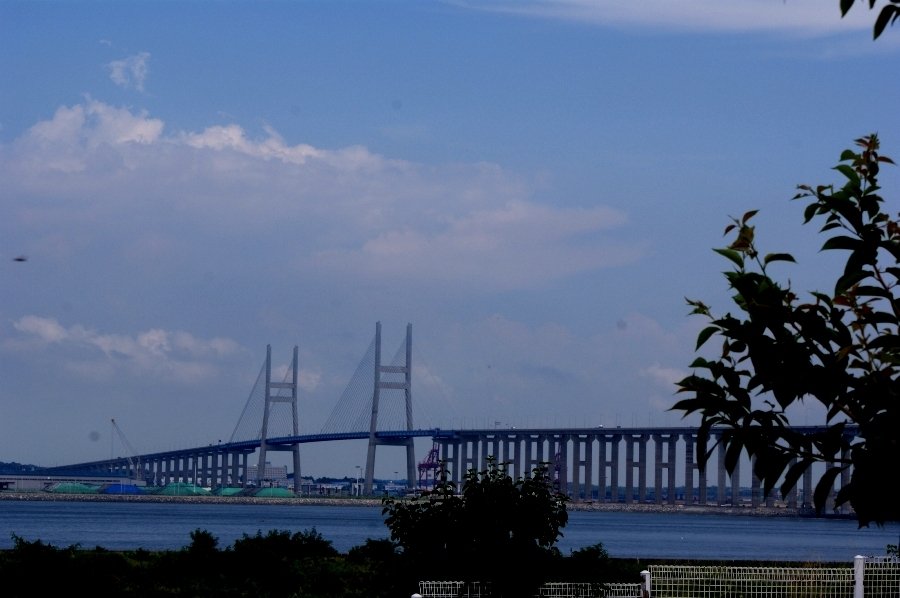 5.깜짝여행/안면도에서 오는길-구름...서해대교...