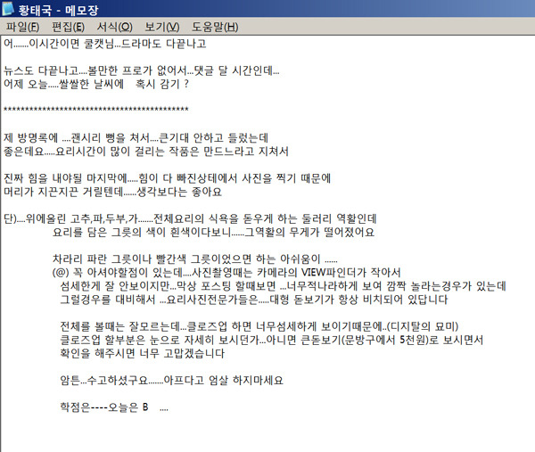 쿨캣 이미지