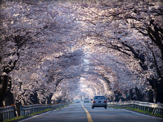 14014A174C043B603857A4