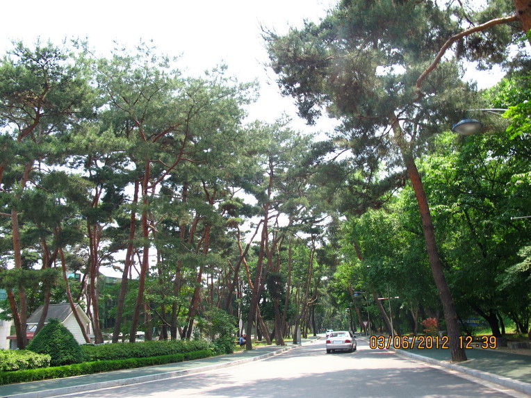 집수리새샘 이미지