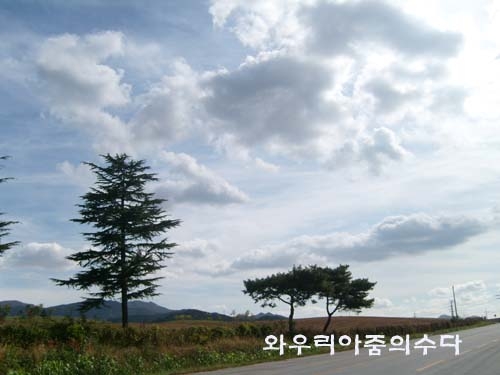 하늘스케치 이미지