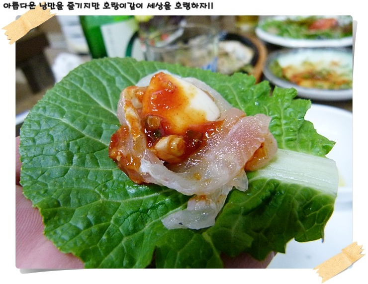 해운대박선장 이미지