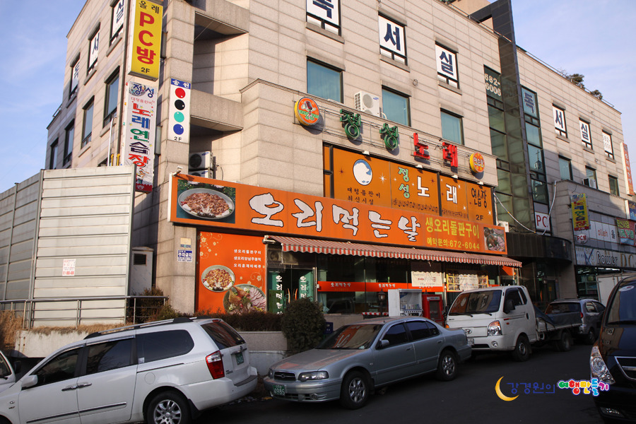 날마다 오리 이미지