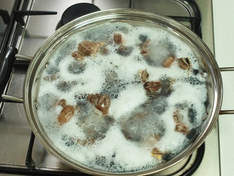 [6월 맛보기 체험단] 신시장 옴백님의 동해안 자연산 살고동(중)