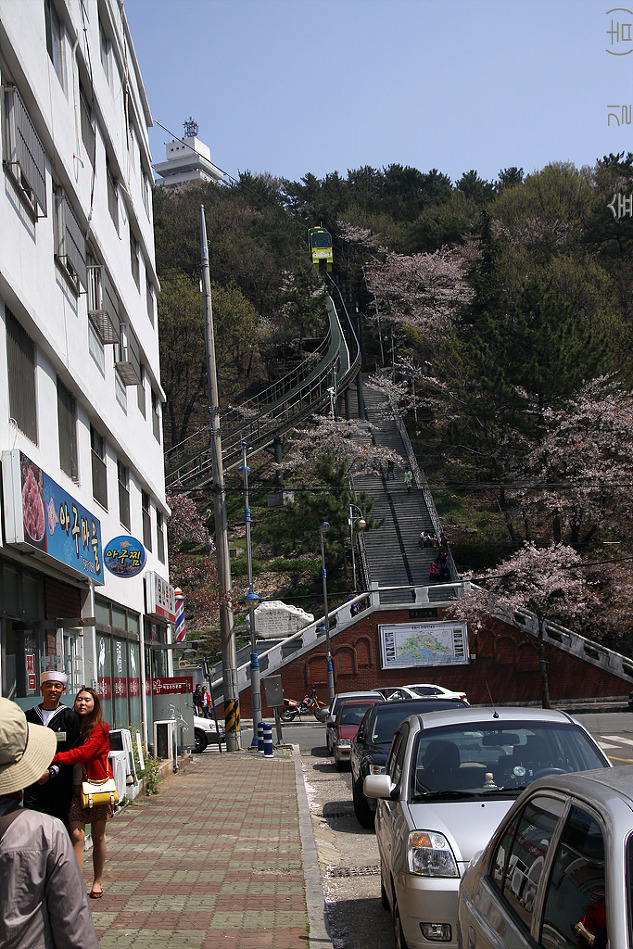 하나화원 이미지