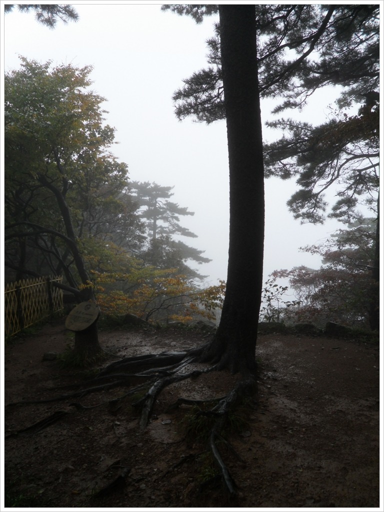 황산 트레킹을 마치며(10.10.13)
