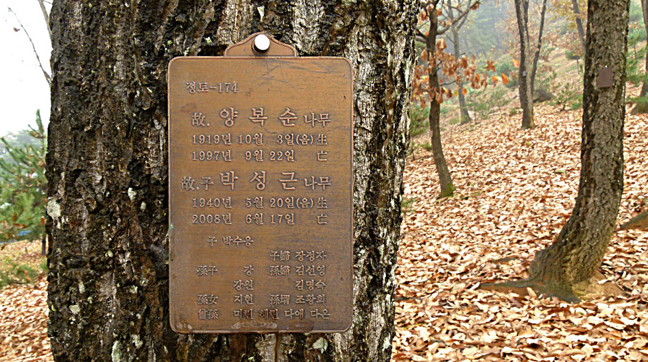 수림장 이미지