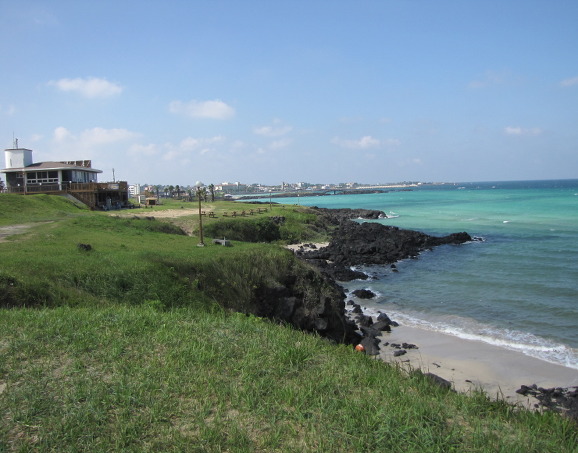 イメージ全体表示