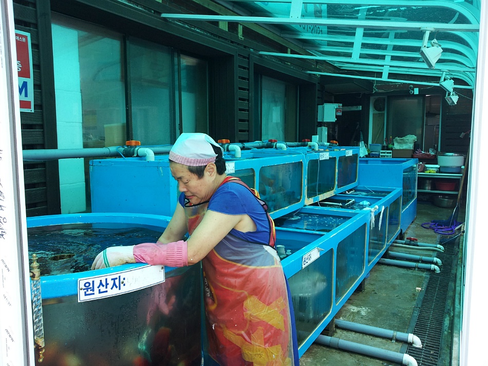 손님입맛대로 이미지