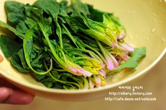 시금치 1단으로 만든 명품반찬 3가지