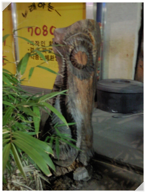 녹색한우 이미지