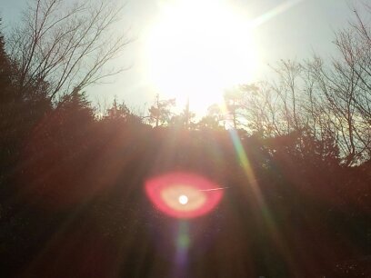 1577DB3B50B3118B3616AE