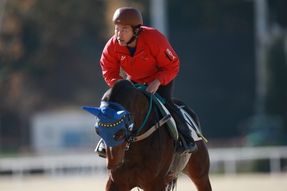 조교승인경주마술실기시험