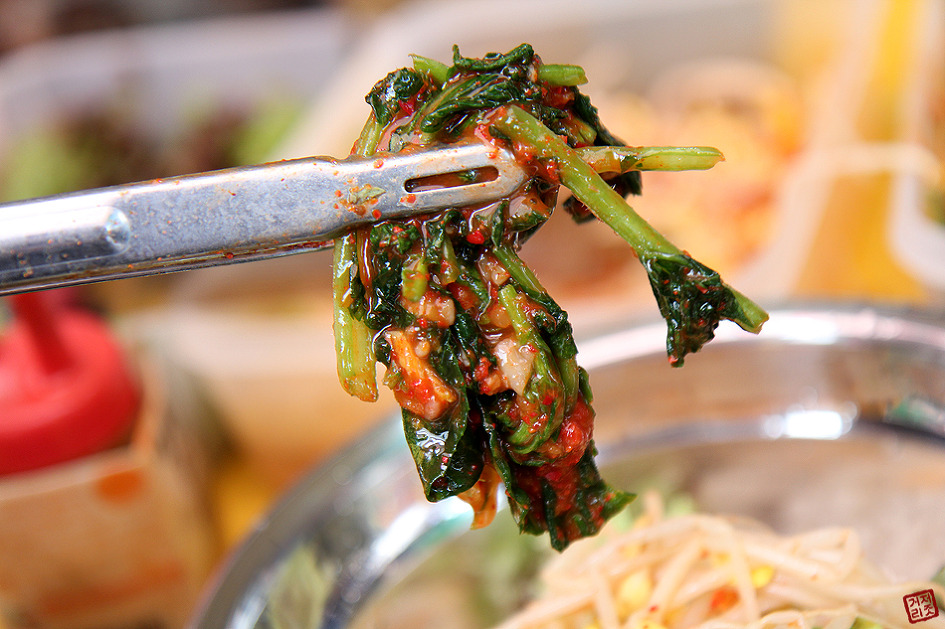 대전 중앙시장에서 정과 함께 먹어요~ "보리비빔밥" 대전맛집 대전중동맛집 대전중앙시장