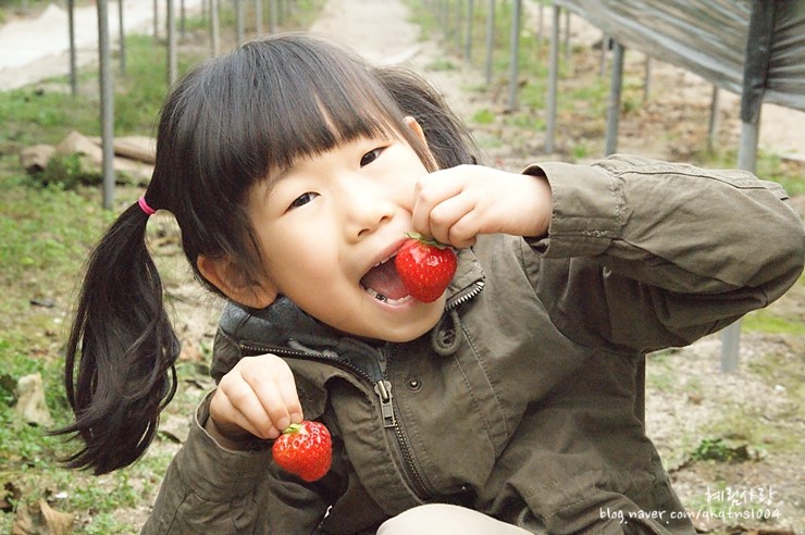 16655C524DA873D835B82B