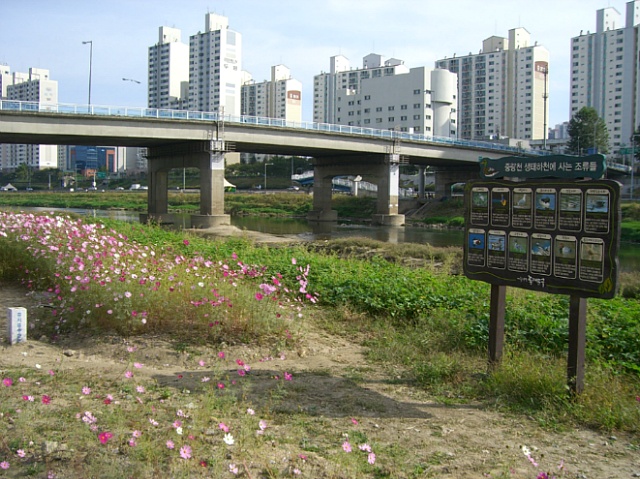 166C45395073B626039973