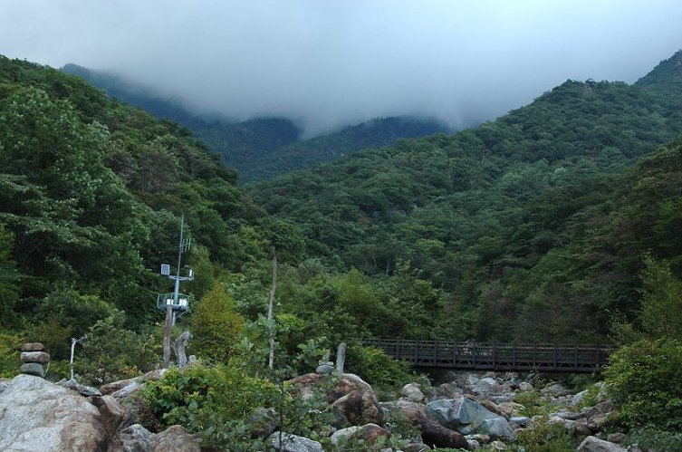 2009 천왕봉 산행(4) 제석봉을 지나며,,