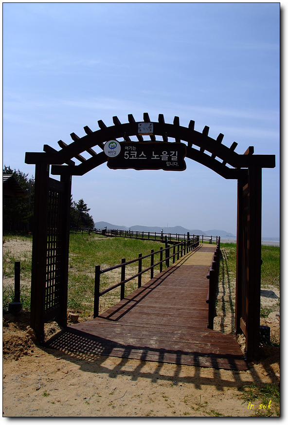 솔숲과바다 이미지