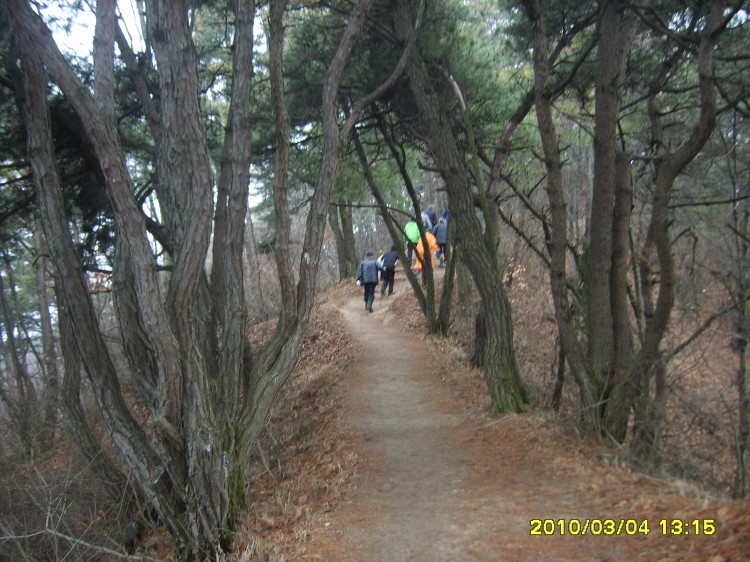 달본 이미지