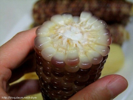 여름철 최고의 간식!! 옥수수와 감자 맛있게 찌는 법