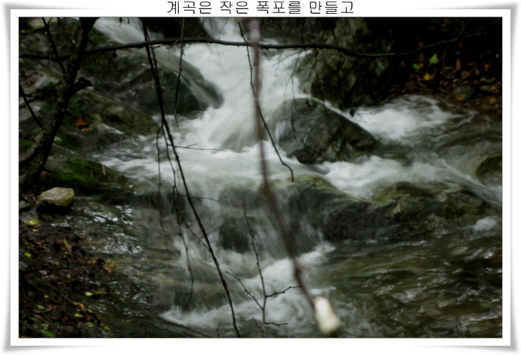 1742F04F5039ED980CAD9A