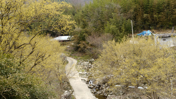 17445E274BB50B95175D14