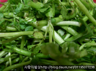 바쁜아침 반찬걱정은 끝! 6가지 환상의 봄나물 무침세트>_