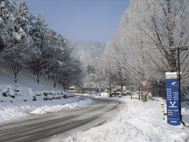 2010년 1월 6일 상고대가 활짝 핀 한림대학교