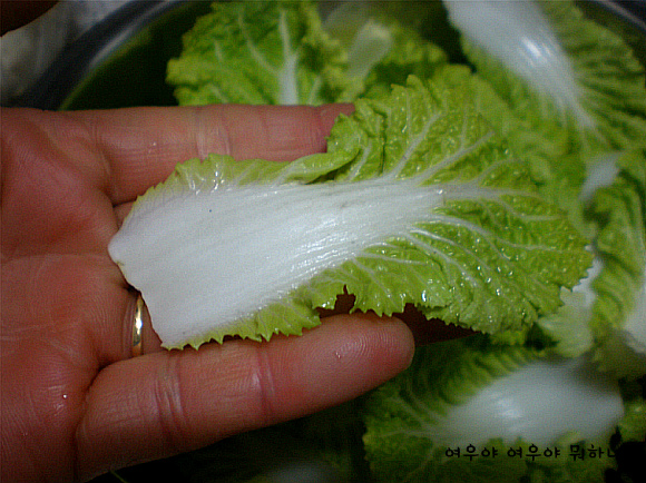겉절이로 나물로 찌개로-겨울보약 봄동으로 차린 저녁상^^