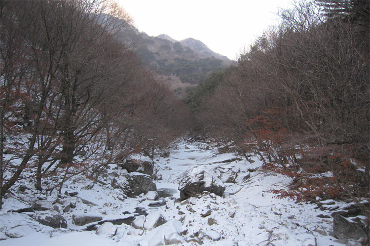 덕유대야영장 이미지