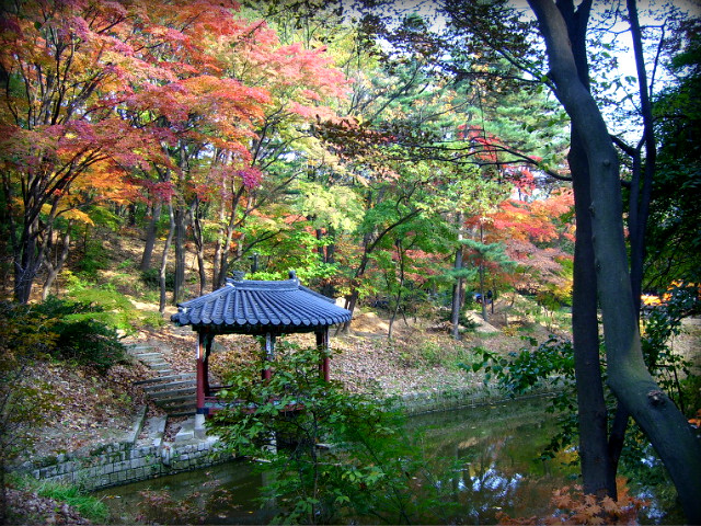 1914AF234AF5B9EB0A5A1E