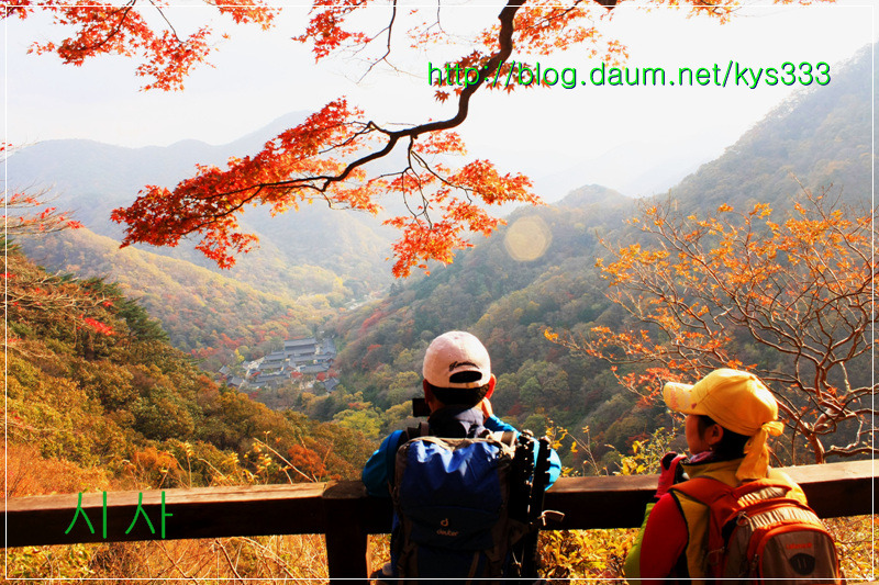 만추의 백양사 아름다운 단풍 2탄...2012. 11월 7일