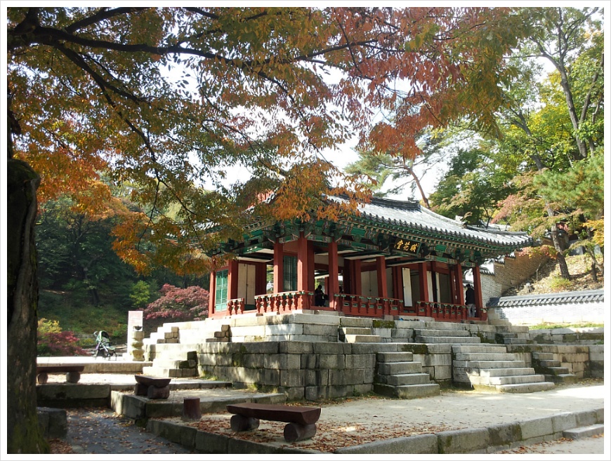 [서울여행 가볼만한 곳] 서울 살이 30년 만에 처음 갔던 창덕궁 후원. 비원의 가을 풍경
