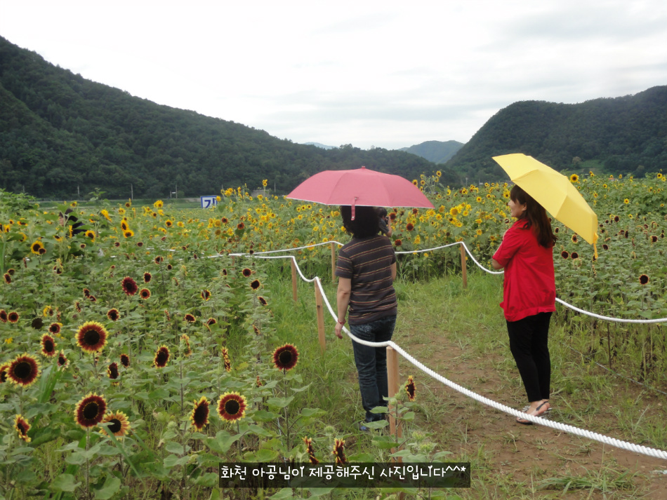 한쿡 이미지
