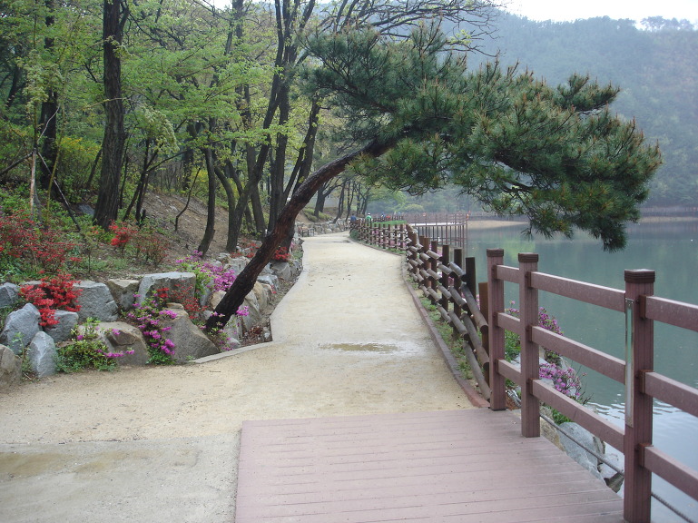 풍경
